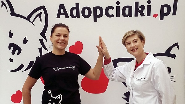 adopciaki.pl